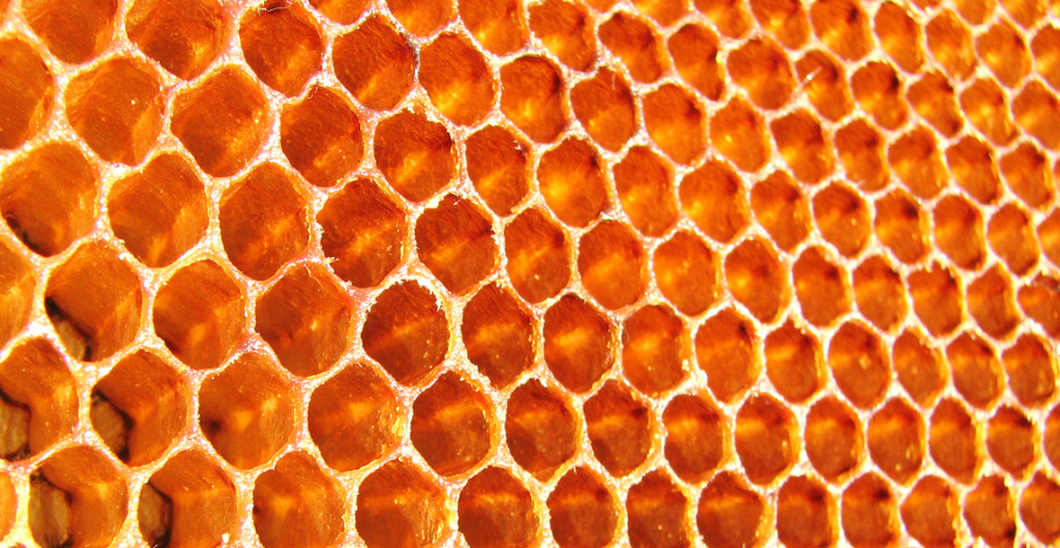 "honeycomb" by KarunakarRayker